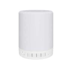 Haut-parleur Bluetooth avec caméra espion WIFI HD 1080P et lampe 