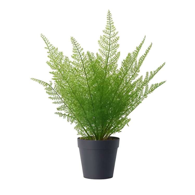 Plante Caméra Espion HD 1080P : Surveillez Discrètement Votre Pièce grâce au Wifi